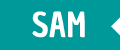 SAM Demo
